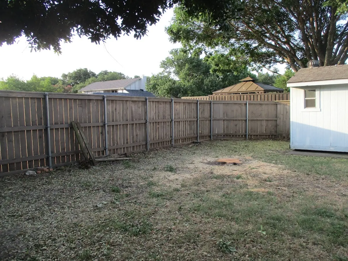 Cleared yard after professional tree removal in Stamping Ground