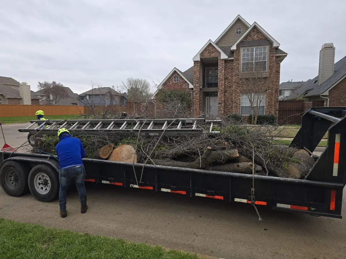 Expert Tree Fertilization with proper safety equipment in Stamping Ground